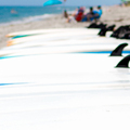 Create Listing: Surfboard Rental