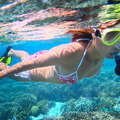 Create Listing: Snorkeling Equipment & Tours
