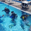 Create Listing: Key Largo Dive Center PADI (Open Water Diver Course)