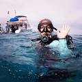 Create Listing: 3 Dive Trip Package (6 Dives on 3 Dive Trips)