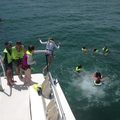 Create Listing: 2 Location Snorkel Trip (2 hours in water)
