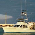 Create Listing: Reef - Charter Fishing