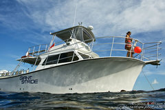 Create Listing: The Giant Stride - Half Day Charter