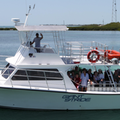 Create Listing: The Giant Stride - Full Day Charter