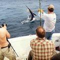 Create Listing: Big Game Marlin Fishing - Salinas, Ecuador