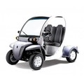 Create Listing: Electric Car Rental (2 person) (24 hour Rental) (Golf Cart)