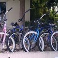 Create Listing: Beach Cruiser Bike Bicycle Rental (24 hour Rental)