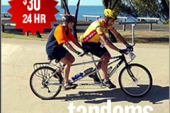 Create Listing: Tandem Bike Bicycle Rental (Weekly rental)