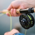 Create Listing: Fishing, Boating -​We provide rods, reels, tackle, live bait