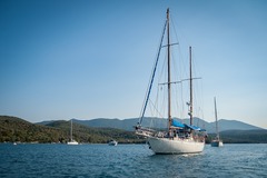 Create Listing: Sailing Tours-Schooner Summer Wind in Baltimore & Key West!
