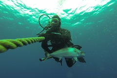 Create Listing: Spearfishing Charter Key West