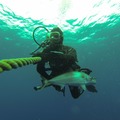 Create Listing: Spearfishing Charter Key West