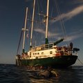 Create Listing: Full Charter Bahamas Scuba Diving Liveaboard (4 nights)