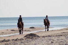 Create Listing: Horseback Riding - on the beach