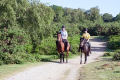 Create Listing: Horseback Riding - 1 and 1.5 hour rides