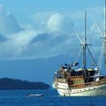 Create Listing: AURORA  (6-night trip sailing and diving adventure cruise)