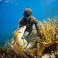 Create Listing: Guided Spearfishing Charters - Full Day (Up to 4 divers)
