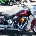 Create Listing: Panama City Beach Rentals - Motorcycle (Harley Davidson)