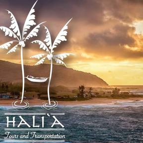 Hali'a Tours and Transportation LLC