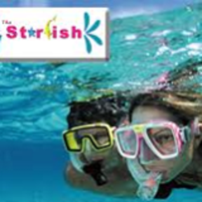 Starfish Snorkeling