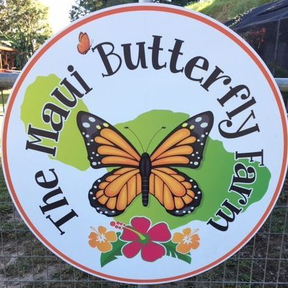 Maui Butterfly Farm
