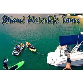 Miami Waterlife Tours