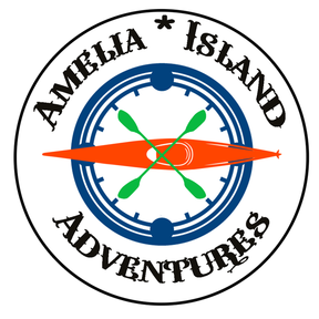 Amelia Island Adventures